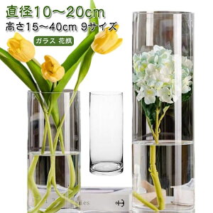  Q rO V G  k 15cm ԕr  t[x[X 40cm 20cm Ԋ 傫 CeA 30cm  