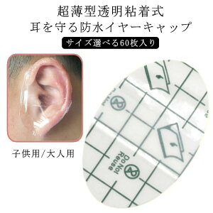 p C ی pb` C[pb` ĝ Lbv  y60z C[Lbv C[Jo[ ѐ h
