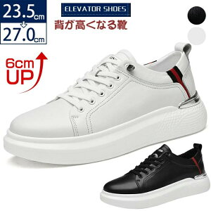 ʊw JWAV[Y V[NbgV[Y ʋ  Xj[J[  jO V[Y WM YC {v 6cmUP