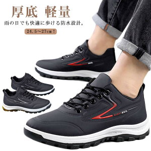  EH[LOV[Y ʊw WMO Xj[J[  hV[Y jp y Y hXj[J[ ʋ h J 䕗