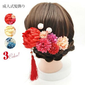  񂴂 l ܂ݍ׍H  ~   CXg[   k ߂ Ǝ U   wAA