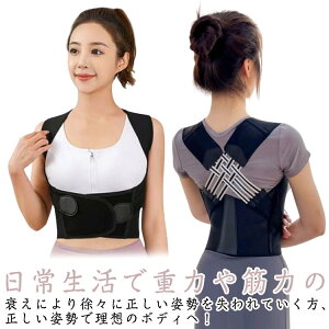 w؋xg pT|[^[ pxg xg Lw xg  q Y xg   Lw j fB