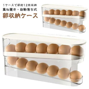 [ ①ɗp P[X 2iGbObN fBXyT[gC P[X 12  [{bNX  