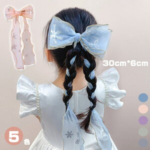 ANZT[ vZX \ ̎q  q  K[Y O{ wAANZT[ LbY ob^ {