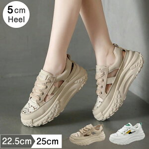 ʋC ₷ r r ~ 5cmq[ [XAbv C vbgtH[ fB[X bVT_ X|[c