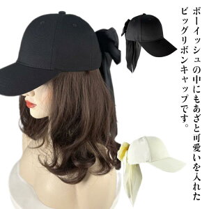 UV΍ Lbv [ Lbv obN{ obN  fB[X t 낢 Ăh~  {Lbv Xq 傫