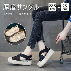 T JWA Xbp Xj[J[ T}[T_  wlC X|[cT_ [X ؂ ₷ 2color fB[X