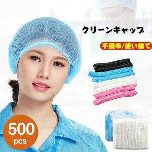 uL wALbv sN u[ zCg ubN Lbv jp ĝ sDz 500 Ɩp N[Lbv