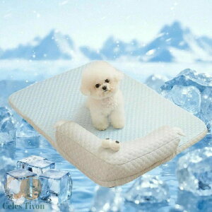  QSn ʋCD ڐG⊴ ̂ t \t@[ ybg}bg ybgNbV Ђ}bg ybgxbh p