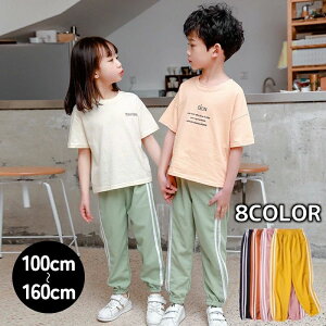 [E  ₷ S TChC ̎q j̎q q {gX H  t ʋC  Y{ Opc