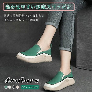 Xb| O V[Y fB[X [t@[ Xb|  4cm Xj[J[ C ɂȂ h y Xj[J[