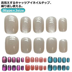  lCA[g 10Zbg lC`bv }Olbg LbcAC O~V[t ZtlC Vv NA V[g