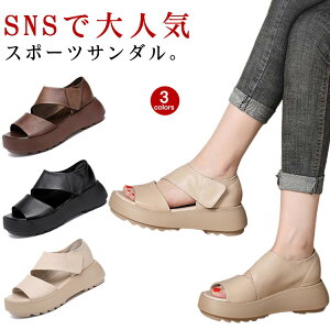 X|[c T_ gAbv T_ ʋC Od ₷ Xj[J[ L  gȌT_ fB[X