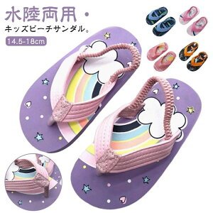 p   T_ LbY v[ }V[Y j̎q ̎q gOT_ V 14.5-18cm St 
