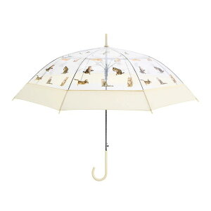    v OXt@Co[ n vg ʐ^   tHgWFjbN 傫 fB[X P86cm