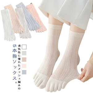  Xj[J[\bNX X|[c ėp Rbg  5{w\bNX 5{wC fB[X \bNX bV ܖ{w\bNX