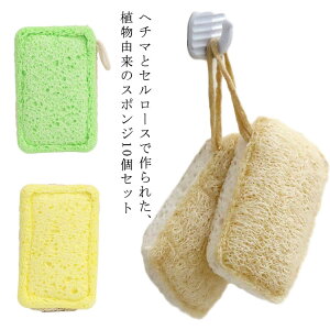 10  VR Hp M H w`} Z[X HpX|W 䏊X|W z GR ̐܂OK H R