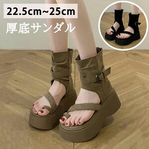 y^ V[Y ₷ u[cT_ q[ tbgV[Y uE  V[gu[c fB[X u[cT_