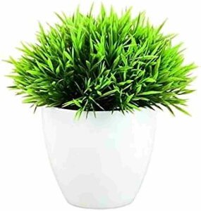  b炸  CeA y CeAO[ A ItBX G}  lHϗtA tFCNO[