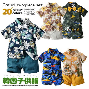 AnVc ㉺Zbg j LbY {gX q n[tpc  xr[ 2_Zbg ̎q gbvX j̎q JWA