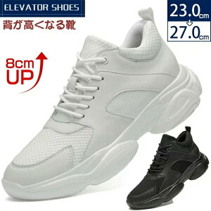  g jO ₷ g[jO {v wȂ ʊw 8cmUP C YXj[J[ y WMO ʋ y