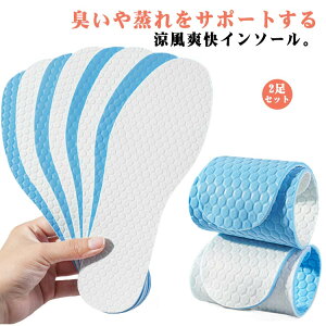 jp L fB[X  z f ~  C Xj Ȃ h~ C\[ V[Y  C  Y 