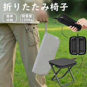 ނ oR  Lv  ^ ^ g  y ܂݈֎q ω׏d120kg ֎q [ AEghA ܂݈֎q