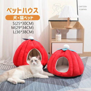 h  }bg ~ 􂦂  \t@  Q 􂦂 킢  Lp 薰 @\ ybg