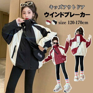 170cm 160 150 140 130 120 s ʊw ʉ  i gbvX h |Pbgt oCJ[ AE^[EFA ؍ K[