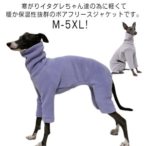 [EFA   xhgeA EBybg C^AO[nEh ۉ h ɒg  ybgEFA