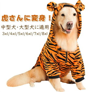 ybgpi   ybg  nEB[ RXv VN nEB[ RXv[   ^