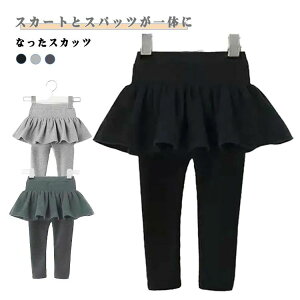  N ~ H {gX ǂ q Vv  xr[ tXJ[g 킢 n XJ[gMX