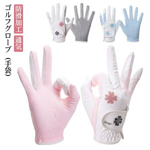 O[u St f I[V[Y H~ t p v   1yA 2Zbg fB[X  StO