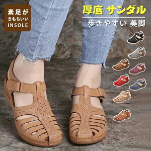 [ X|[cT_ XgbvT_ ₷  EFbW\[T_ T_ 21.5~27cm fB[X