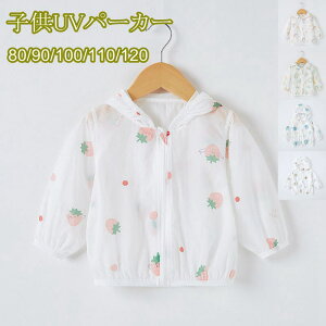 C`S   t[ht  AE^[ gbvX ĕ  p[J[ q LbY j̎q ̎q bVK[h UVJbg