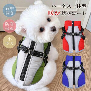 U o| h lC ȓ N 킢 U h΍ ۉ ybg    ~ ~  xXg R