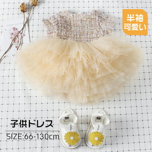 qs[X xr[ qhX ۈ牀 ̎q ct a hX    LbYhX qǂ t