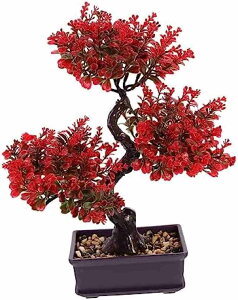 I Ȗ  U̖ ~͑ fXNgbvi ̔A lHA̖~ ~jt[u[P ~ a A lHA