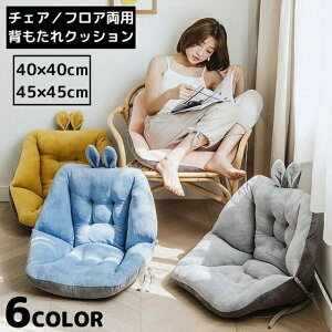 40^45cm  ֎q g zc `FApbh ӂӂ탂RR ʃNbV V[gNbV w 傫