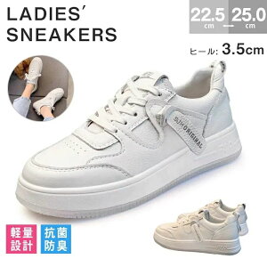 Ȃ Xj[J[ K lCC ؍t@bV ʋΒʊw y  Vv v  fB[X