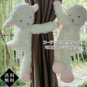   ANZT[  J[eߏ ʂ k r 2 J[eANZT[