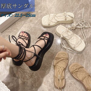 ₷  C fB[X 5cmq[ RtH[gT_ r[`T_ _炩f X|[cT_ fB[XC