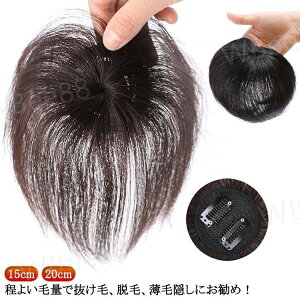  B ×p l l fB[X wAs[X R  ~`Eя gbvJo[ B V[g ނ l p