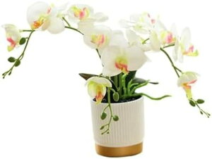  CeAO v[g  EGfBO 蕨 G}  tFCNO[ CeA lHϗtA ԕrt