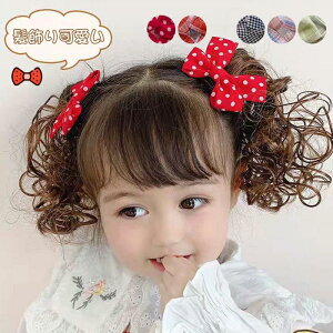 ������ ���� �E�B�b�O ���{�� �V���V���E�B�b�O �w�A�A�N�Z�T���[ ������