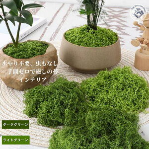 DIY|f zAlHۃ}bg tFCNO[ ~?ϗtAp plH lHX}bg ~j`A뉀?eE?