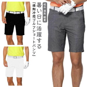 Zp Y{  hC y ʋC z  Lk Xgb` 傫TCY StEFA 5 V[gpc  Y