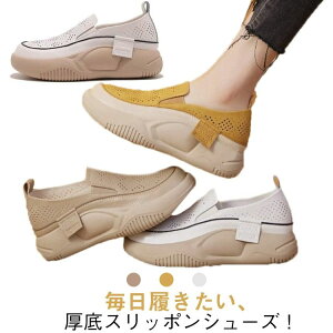 RȂ fB[X  V[Y Xb| Xj[J[  [t@[ Xb| Xj[J[ pvX