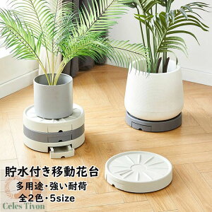 360°]LX v[g g[ v^[pM LX^[ u t[X^h u  tړԑ