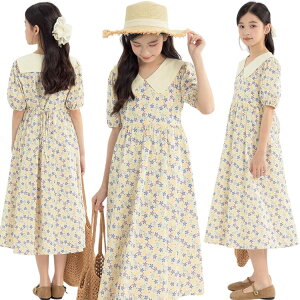 �ԕ� �J�W���A�� �C�� ���]�[�g�� ���� ���킢�� ������� ���� �T�}�[ �����s�[�X ���̎q �� �؍� ���s �~�� �q����